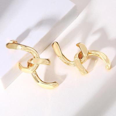 E2606011 Irregular Earrings
